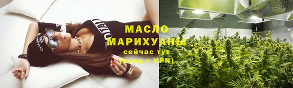 индика Бородино