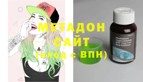 индика Бородино