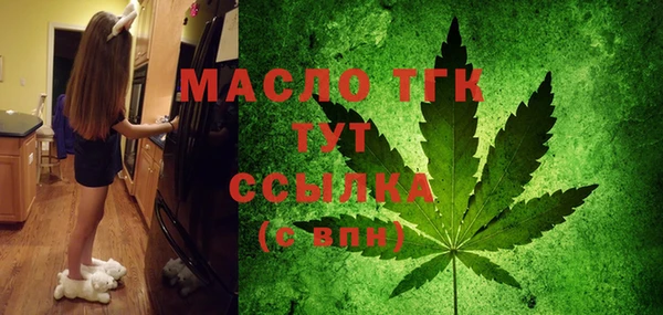 индика Бородино