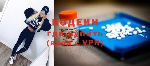 индика Бородино