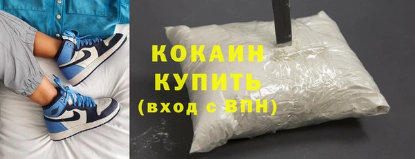 индика Бородино