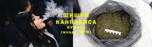 индика Бородино