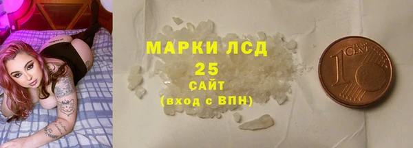 индика Бородино