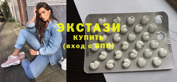 индика Бородино