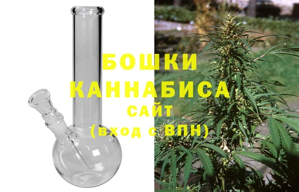 индика Бородино
