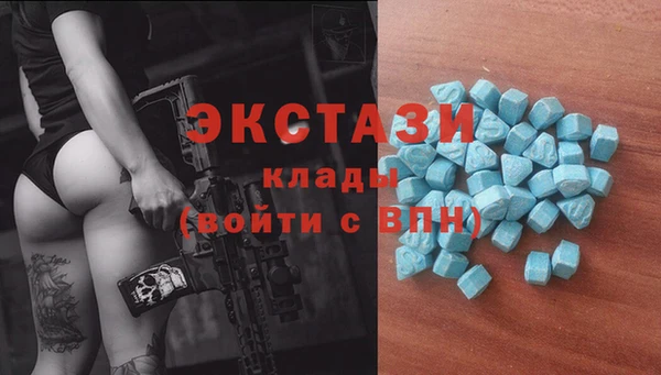 индика Бородино