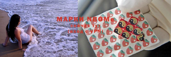 гидра Верхний Тагил