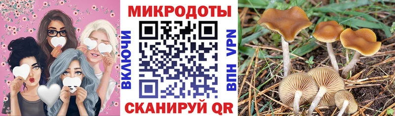 kraken как войти  Черемхово  Галлюциногенные грибы Magic Shrooms 